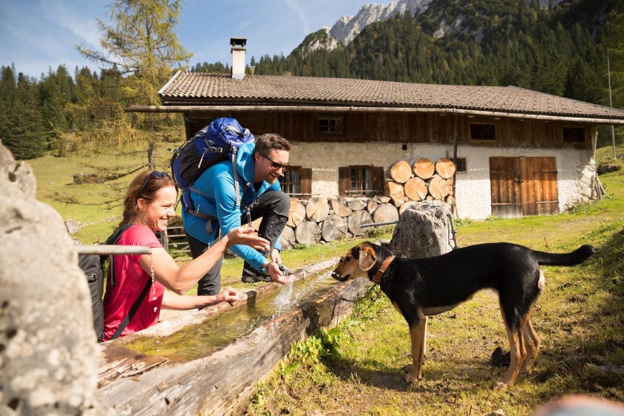 Alpenlodge, Ferienwohnung 16 Тирзе Экстерьер фото